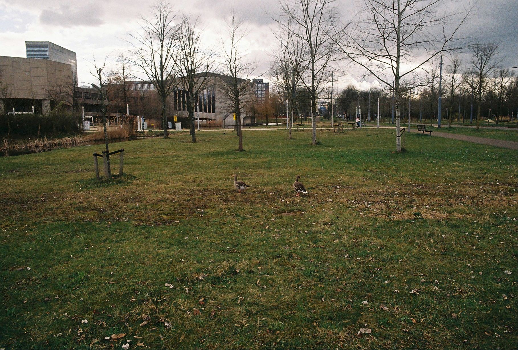 08.JPG